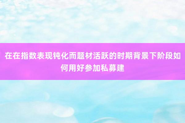 在在指數(shù)表現(xiàn)鈍化而題材活躍的時期背景下階段如何用好參加私募建